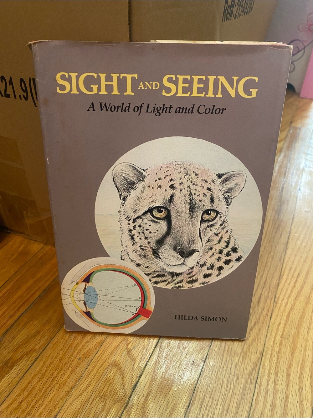 Sight and Seeing by Hilda Simon Hardcover Book